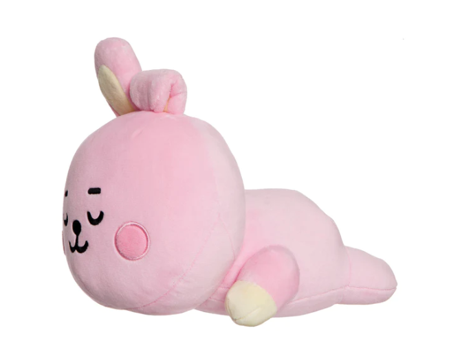 BT21 - Baby Pillow Cooky