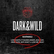 BTS - DARK&WILD - 1st Album