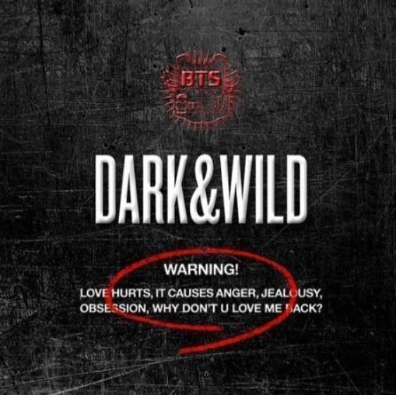 BTS - DARK&WILD - 1st Album