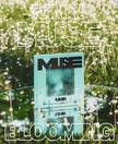 Jimin (BTS) - MUSE - 2nd Solo Album