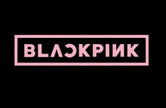 BLACKPINK - Lightstick Special Edition