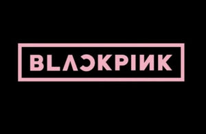 BLACKPINK - Lightstick Special Edition
