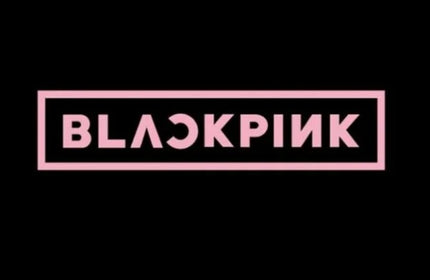 BLACKPINK - Lightstick Special Edition