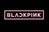 BLACKPINK - Lightstick Special Edition
