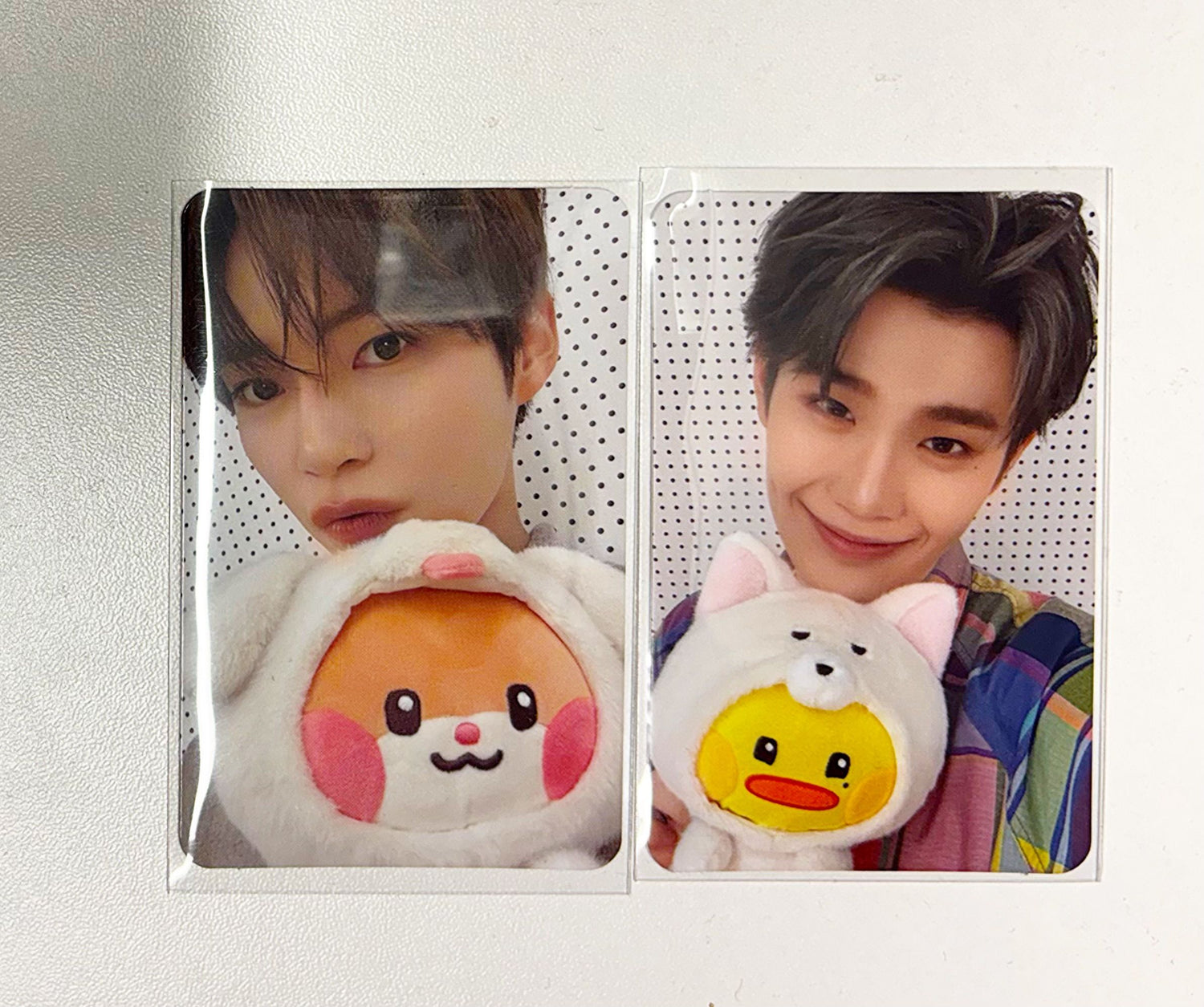 ZEROBASEONE - Zeroni Plush Wonderland POB Photocard