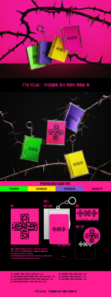 TXT - 7TH YEAR: WHEN THE WIND PAUSED AMONG THE THORNS (Photocard Case Ver.)