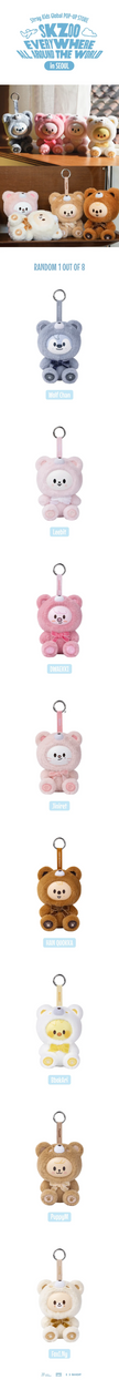(PRE-ORDER) SKZOO - SKZOO EVERYWHERE ALL AROUND THE WORLD - Secret Keyring (Toy Ver.)