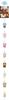 (PRE-ORDER) SKZOO - SKZOO EVERYWHERE ALL AROUND THE WORLD - Secret Keyring (Toy Ver.)