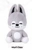(PRE-ORDER) Stray Kids - World Tour RUN IT MD - SKZOO (PLUSH DANCING Ver.)