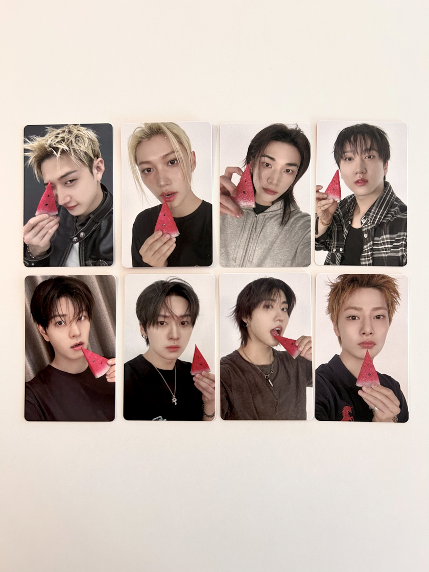 Stray Kids - THIS & THAT - JYP POB
